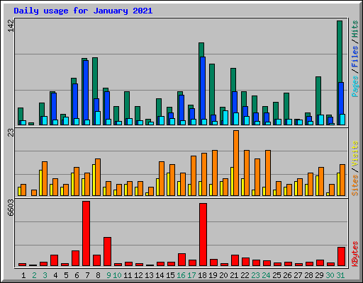 Daily usage for January 2021