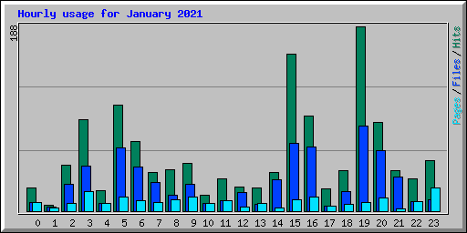 Hourly usage for January 2021