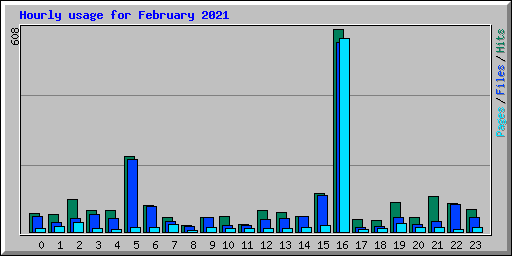 Hourly usage for February 2021