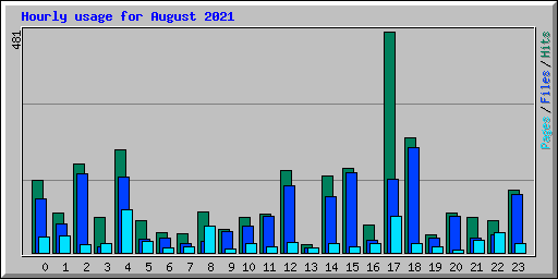 Hourly usage for August 2021