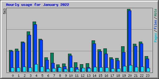 Hourly usage for January 2022