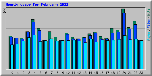 Hourly usage for February 2022